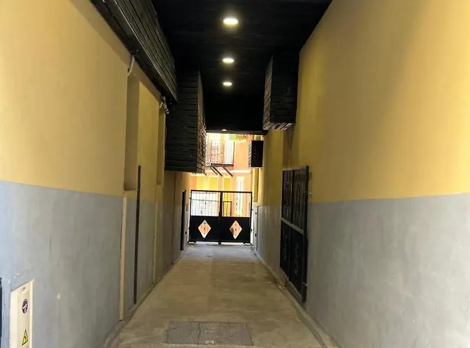 公寓 La Cour Du Centre 尼斯